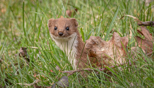 GmMOiwTbEAAzVGM.jpg