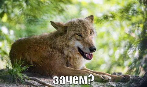 blob.jpg