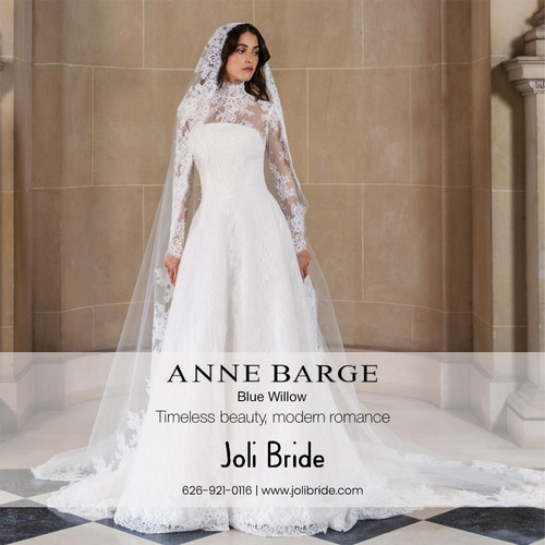 Anne Barge Blue Willow.jpg