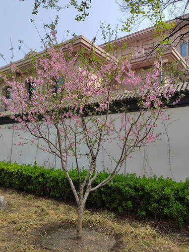 image 1742278670640.png