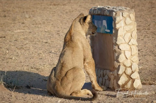 GmLLLn XoAA7eJo.jpg