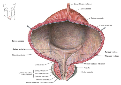 a8a47945f5df.png