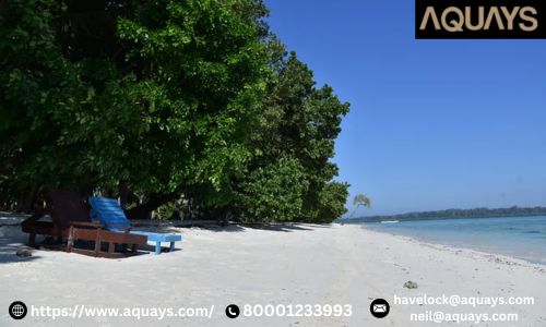 Why Beach Resorts in Havelock Are in High Demand.jpg