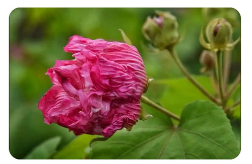 屏幕截图 18 3 2025 143223 image.baidu.com.jpg
