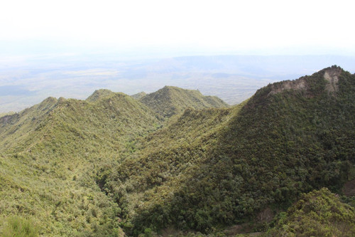 GmTJr3kaYAApqLw.jpg