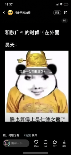 IMG 0608.png