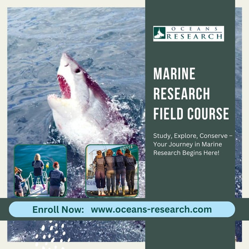 Marine Research Field Course.jpg