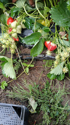 received 1146791183911880.jpg