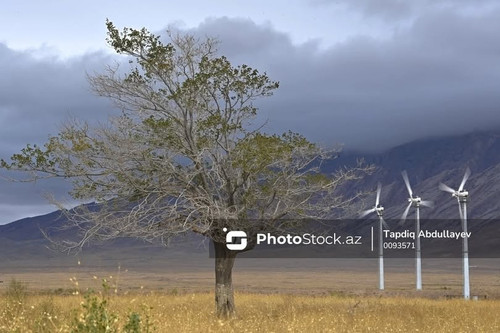 484801294 672487748768694 42012909254283005 n.jpg?stp=dst jpg p180x540 tt6& nc cat=109&ccb=1 7& nc s.jpg