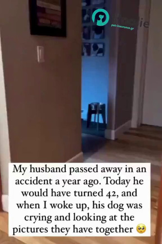 nVU8hEabF4k0zvGE.jpg