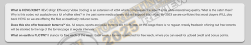 FAQ.png