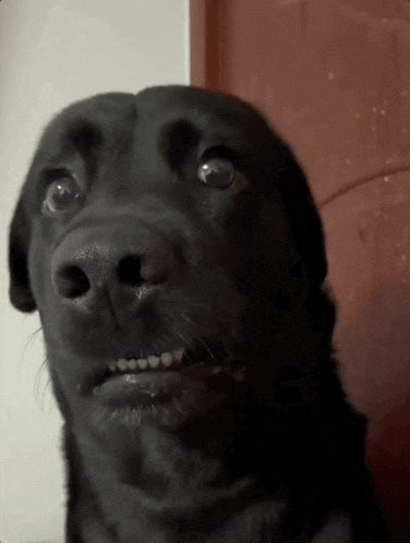 GmUKyjyWkAAfVio.jpg
