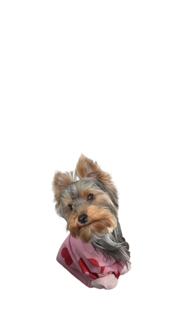mae.png