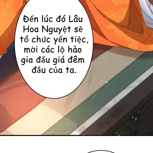 62.jpg