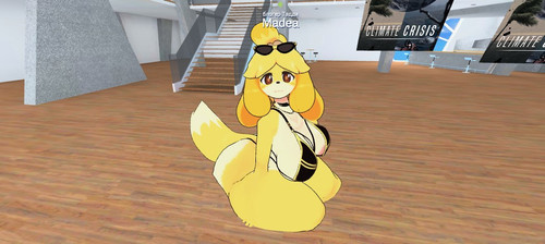 imagen.jpg