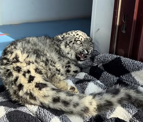 Screenshot 20250318 183611.jpg