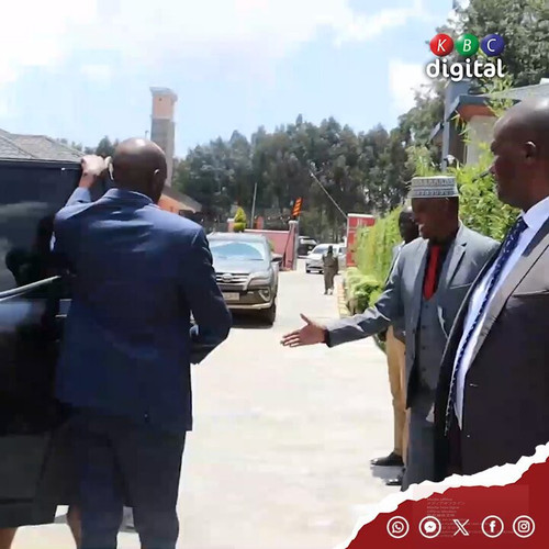 mifRlMdV vWSRTsZ.jpg