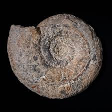 K5fylzRBxf2GD0Okm8NRuO3 ez UC vwJYfVgIcoynLRSQ4EpihmH337ph4ekFGxpOoo3FghHwqjxcJ7hoc2Mfzb4KFknvBAod2R.jpg