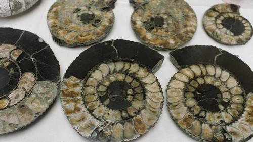 idkWCcXrVLnwAwOeIbj44 PY3cLcQ3lYKY1kPfg6ZUIIVPl4IE0W33G8Zvk07jkBjBjp322RSK2nC6x7K6n0onViyRA0E 8UFXHL.jpg