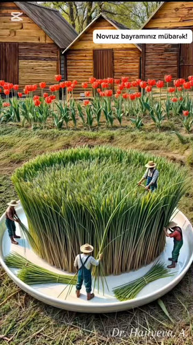 6S6BkoEf3 huHh9K.jpg