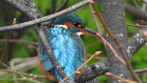 7HMUe0WTyJLh1f 9.jpg