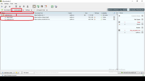 HOST vipfile.cc Wrong file name.jpg