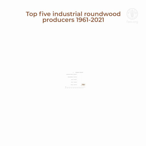 YBIdHP3wcA p1pkS.jpg