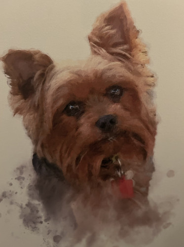 BAXTER.jpg