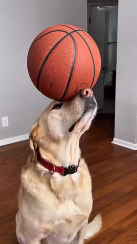 UlWWsKTnCEe1tIqx.jpg