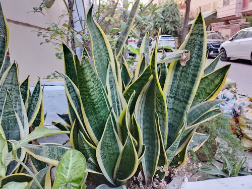 GmPb4LcbkAAmFZ9.jpg