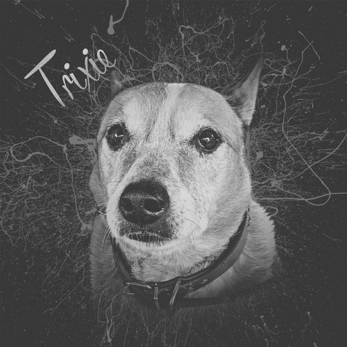 8340B617 EBCA 4BCD B91B 6A67733F9CCA.png