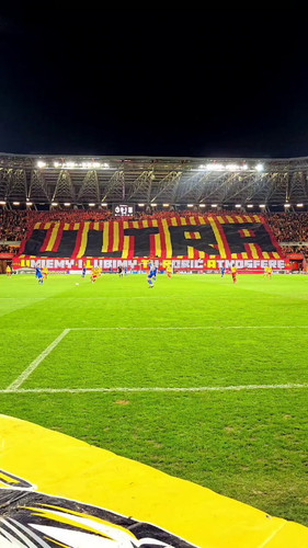 uDtIz ehhVSDouEt.jpg