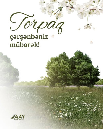 485135496 18270024910248335 654017582338159901 n.jpg?stp=dst jpg s640x640 tt6& nc cat=110&ccb=1 7& n.jpg