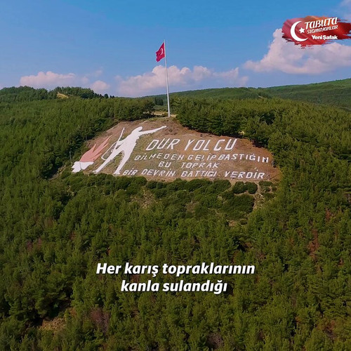 I1KNrC 793UvBQQC.jpg