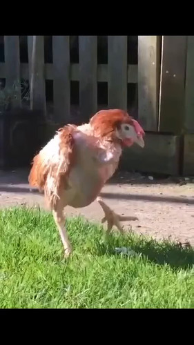 pDw5YasSEgCGEZk2.jpg