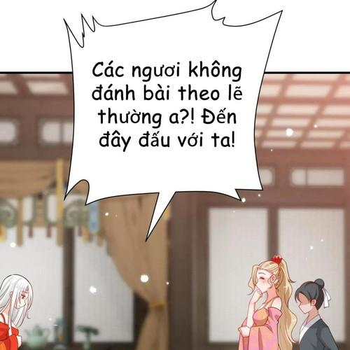 65.jpg