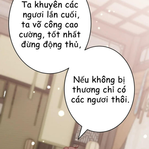 55.jpg