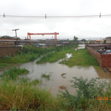 PE 50604001175202499 5