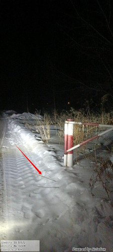b40c57056417.jpg