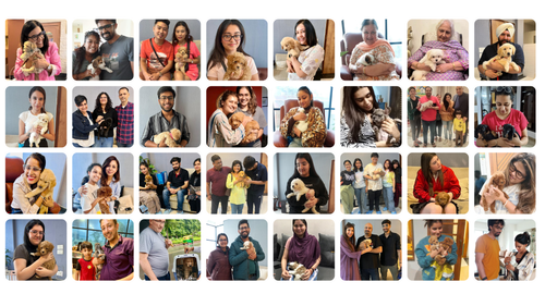 Copy of 500+ Happy Customer insta post (1).png