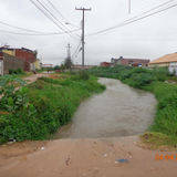 PE 50604001175202499 3