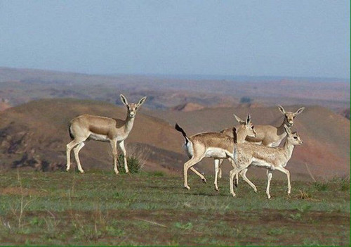 GmQPKNjaYAAJLvB.jpg