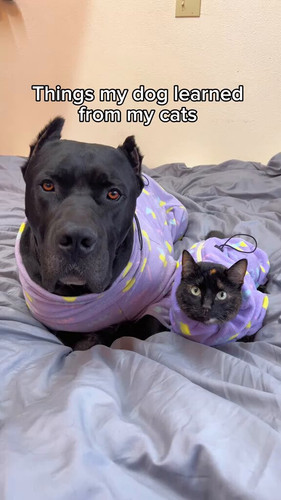 MBNKXo9BObZ7iDt0.jpg