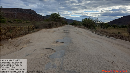 MG 50606003847202481 6.png