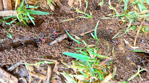 GmTVrM XoAABRWM?format=jpg.jpg