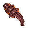 IMG 1471.png