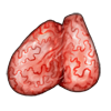 IMG 1473.png