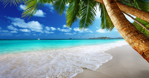4K Beach Wallpaper Free.jpg