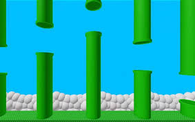 images bird.pols.jpg