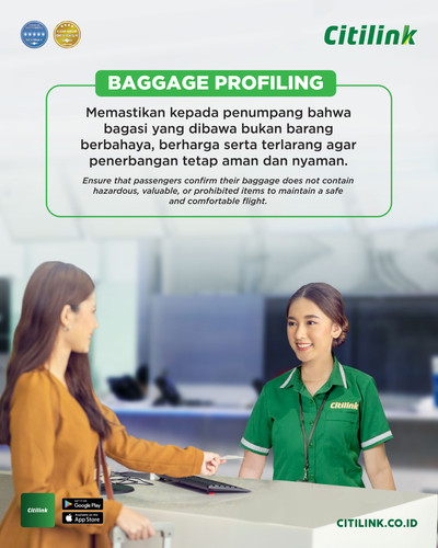 KV Baggage Service Campaign 3. PROFILING.jpg